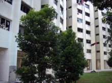 Blk 506 West Coast Vista (Clementi), HDB 3 Rooms #367142